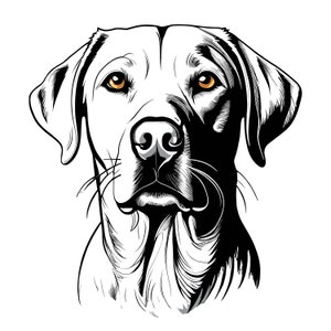 Op de afbeelding: Zwart-witte lijntekening van een hondenkop. De hond heeft slappe oren en een serieuze uitdrukking. De ogen van de hond zijn bruin.