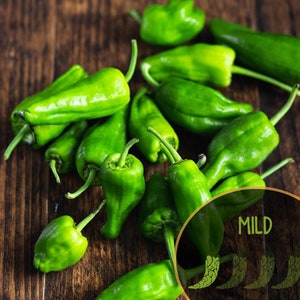 Pimento de Padrón Pepper (10+ Seeds/Pack)