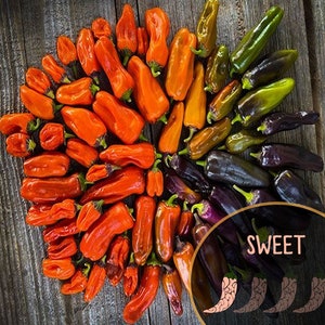 May include: A selection of colourful peppers arranged on a wooden surface. The peppers vary in colour from red and orange to yellow, green, and purple. A circular graphic in the bottom right corner reads "SWEET" with pepper illustrations.