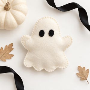 Può includere: Un ornamento a forma di fantasma in feltro bianco con due piccoli occhi circolari neri e bordi cuciti visibili. Il fantasma è circondato da una zucca bianca, due foglie marroni essiccate e un nastro nero su sfondo bianco.