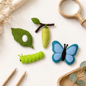 Op de afbeelding: Een set van vier vilten knutselstukken die de levenscyclus van een vlinder weergeven: een groen blad met een wit ei, een groene rups, een groene pop op een bruin takje en een blauwe vlinder met een zwart lichaam, allemaal met zichtbare stiksels.