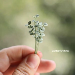 Miniature Eucalyptus,Miniature Leaves,Miniature Plants,1:12,Miniature DollHouse,Miniature Garden,Clay Plant,Miniature Clay,Handmade