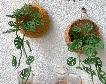 Miniature Monstera,Miniature Hanging Basket,Miniature Plants,Miniature Gardens,Miniature Dollhouses,Desktop Ornaments,Home decoration,1:12