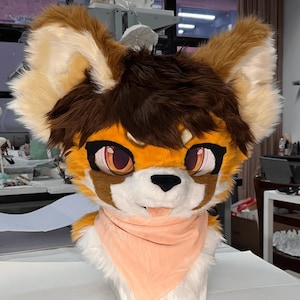 Cute Mr. Raccoon Fursuit Head, Custom Kenomo Cosplay Fursuit, Fursuit Accessories ,Fantasy Creature, Christmas Furry Gifts