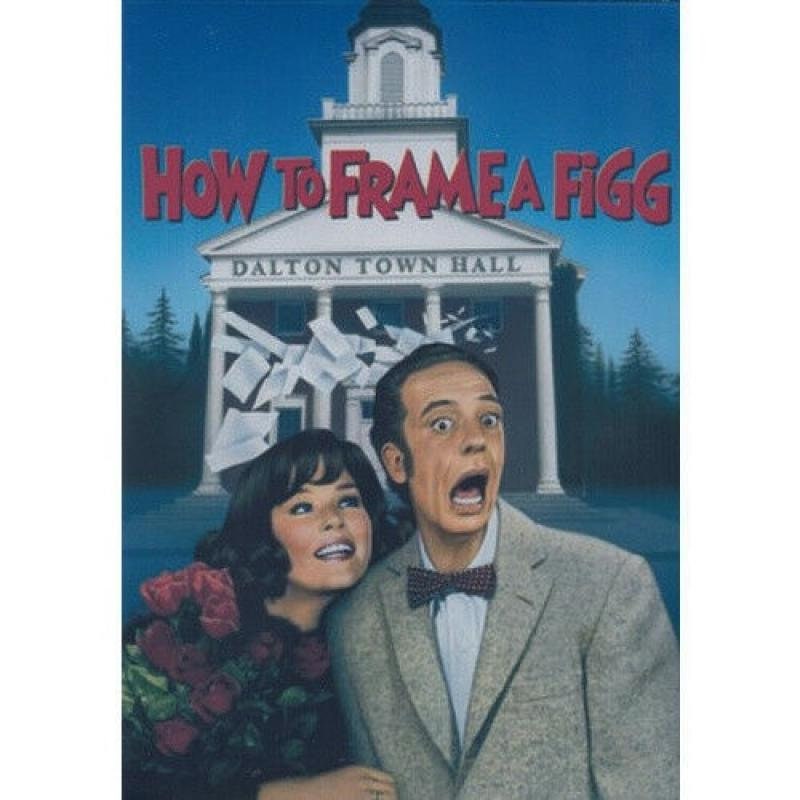 Don Knotts How to Frame a Figg Dvd Etsy
