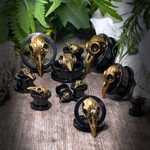 Puede incluir: Un conjunto de 10 medidores de oreja en forma de calavera de color negro y dorado. Los medidores están hechos de acrílico y presentan una variedad de diseños de calaveras.