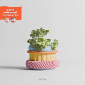 Peut inclure: Un pot de fleurs cylindrique à plusieurs niveaux avec un rebord supérieur bleu clair, un anneau central pêche, une section centrale jaune cannelée et une base rose torsadée. Une plante succulente verte est placée dans le pot. Le texte DIVERS COLORIS DISPONIBLES figure en haut à gauche et le logo POT'O ROSE en bas.