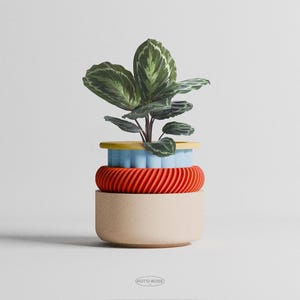 Peut inclure: Un pot de fleurs à plusieurs niveaux composé d'une base cylindrique beige lisse, d'une section centrale orange vif à texture spiralée, d'un bord festonné bleu clair et d'un rebord jaune plat, contenant une plante verte aux feuilles striées.