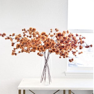 May include: A clear glass vase containing multiple stems of dried, rust-coloured flowers. The branches spread horizontally, featuring numerous small, ruffled blossoms in shades of burnt orange and brown, creating a wide, airy arrangement.