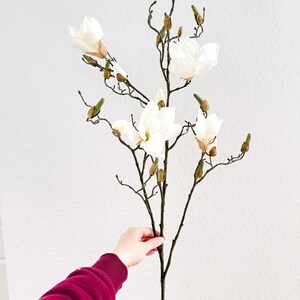 Puede incluir: Una rama de magnolia artificial con varias flores blancas abiertas y capullos sin abrir. La rama tiene tallos marrones y detalles verdes. Las flores son sostenidas por una persona que lleva una camisa de manga larga burdeos.