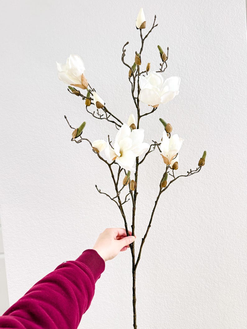 Puede incluir: Una rama de magnolia artificial con varias flores blancas abiertas y capullos sin abrir. La rama tiene tallos marrones y detalles verdes. Las flores son sostenidas por una persona que lleva una camisa de manga larga burdeos.