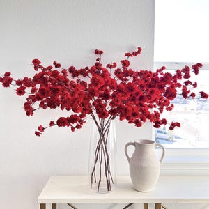 May include: A tall clear glass vase filled with numerous vibrant red flowering branches, positioned next to a smaller, textured off-white ceramic pitcher with two side handles. The arrangement features dense clusters of small, deep red blossoms.