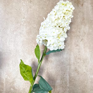 Puede incluir: Un tallo de hortensia blanca artificial con hojas verdes y un tallo verde. La cabeza de la flor es un denso grupo de pequeñas flores blancas. Las hojas son de un verde apagado y el tallo es de un verde vibrante.