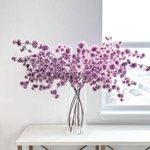 May include: A clear glass vase containing a large, sprawling arrangement of delicate, light purple flowers with numerous small, ruffled blossoms on thin, dark stems, creating a wide, airy display of soft lavender-toned floral textures.
