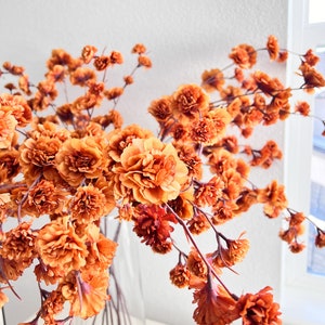 May include: A bouquet of dried orange flowers in a clear glass vase. The flowers are arranged in a loose, cascading style, with the stems extending out from the vase.