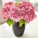 Bloom Bouquet