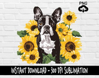 Boston Terrier PNG, Boston Terrier PNG for Shirt, Tumbler, Mugs and more, Instant Download