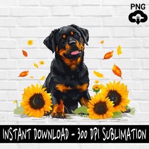 Rottweiler PNG, Rottweiler Dog PNG for Shirt, Tumbler, Mugs and more, Instant Download