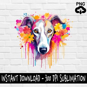 Lévrier PNG, lévrier chien PNG pour chemise, gobelet, tasses et plus, téléchargement immédiat
