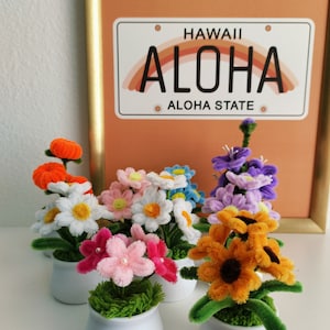 May include: A collection of handmade pipe cleaner flowers in small white pots. The flowers are various colors, including orange, pink, yellow, and purple. A Hawaii license plate with the word "ALOHA" is in the background.