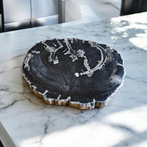 Vintage ＊ petrified wood tray Petrified Wood Serving Tray – TreeHause