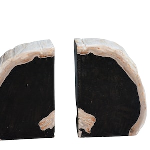Versteinertes Holz Buchstützen
