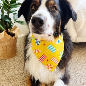 Summer Beach Puppy Bandana, Over The Collar, Pet Scarf, Slip on, Yellow, Boy Dog, Large Dog Clothes, Fun Puppy Gift, Dog Mom Gift