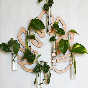 Wall Propagation Station - Monstera Leaf -  Hydroponic Test Tube Planter - Hanging Wall Art With  Propagating Plant Cutting Glass For Water