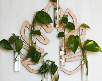 Wall Propagation Station - Monstera Leaf -  Hydroponic Test Tube Planter - Hanging Wall Art With  Propagating Plant Cutting Glass For Water