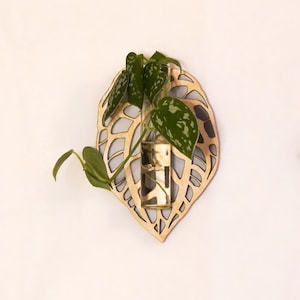Wall Propagation Station - Anthurium Leaf -  Hydroponic Test Tube Planter - Hanging Wall Art With  Propagating Plant Cutting Glass For Water