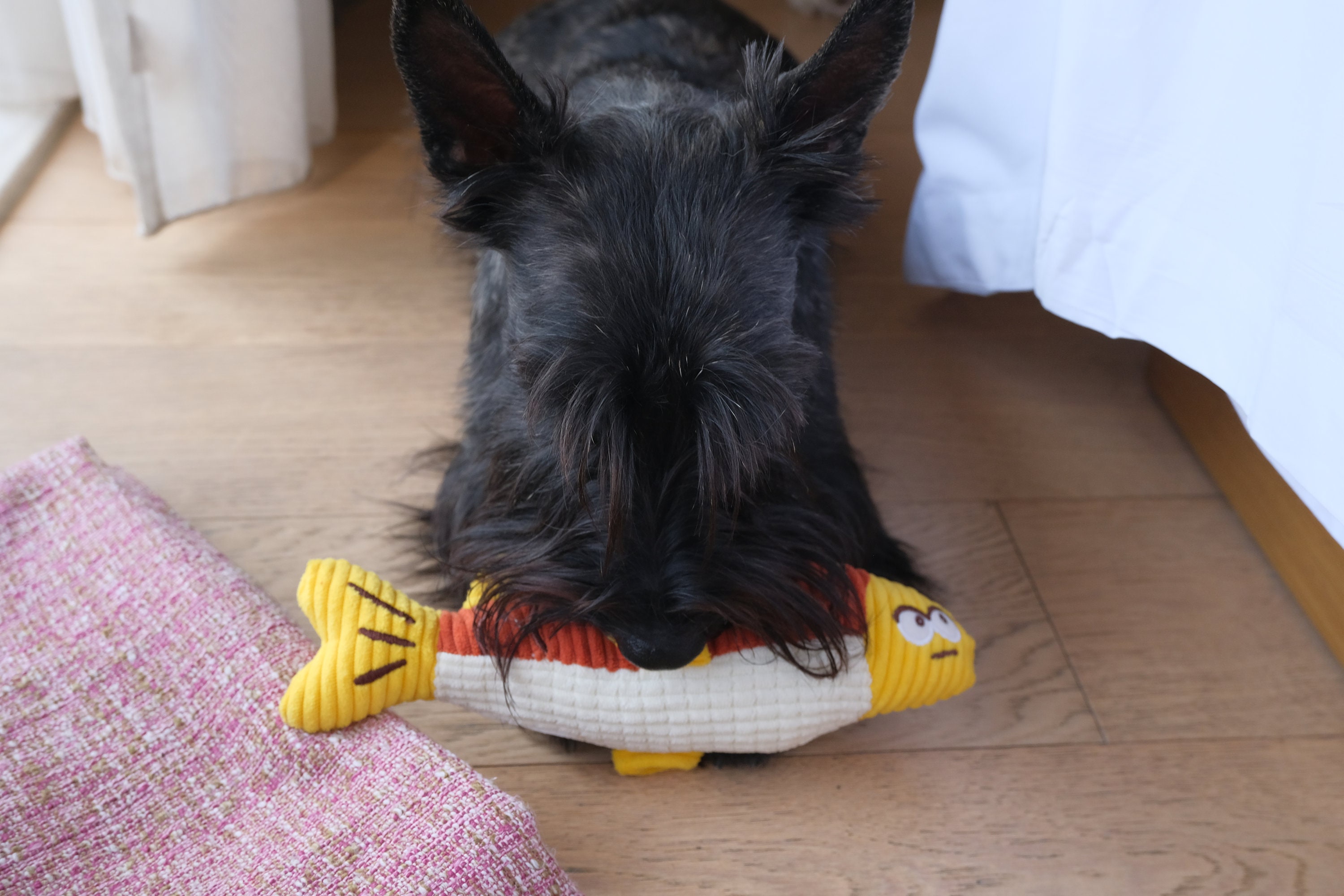 Squeaky Fish Squeaky Bird & Fish Dog Toy, Funny Pet Gift - Etsy