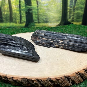May include: Two raw black tourmaline crystals are displayed on a light wood slice with a natural bark edge. The crystals have a striated texture and a dark, glossy appearance. The background shows a blurred forest scene.