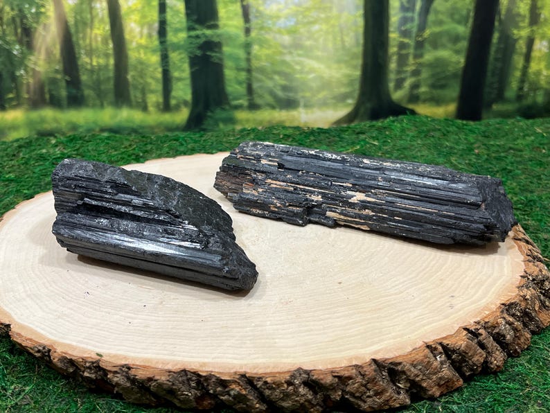 May include: Two raw black tourmaline crystals are displayed on a light wood slice with a natural bark edge. The crystals have a striated texture and a dark, glossy appearance. The background shows a blurred forest scene.