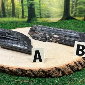 May include: Two raw black tourmaline crystals displayed on a wooden slab with a natural bark edge. The crystals are positioned with lettered cards labelled "A" and "B". The background features a blurred forest scene with green foliage.