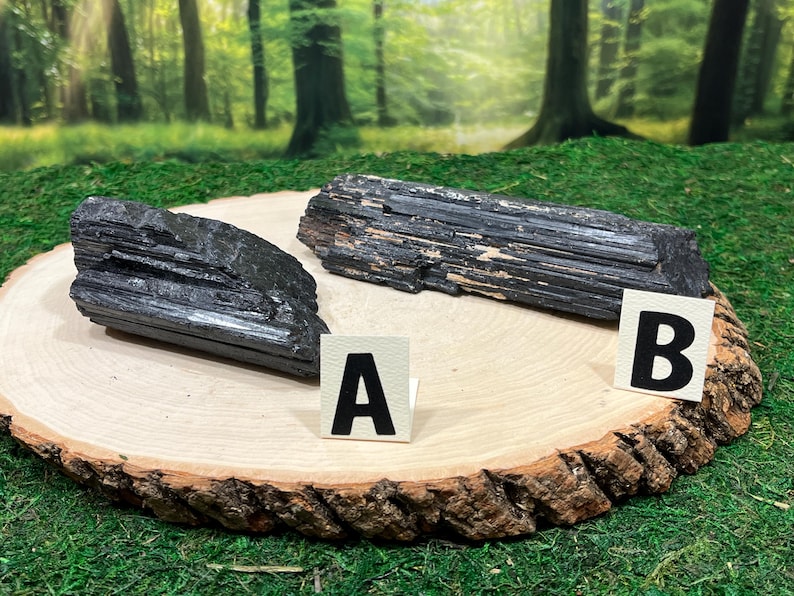 May include: Two raw black tourmaline crystals displayed on a wooden slab with a natural bark edge. The crystals are positioned with lettered cards labelled "A" and "B". The background features a blurred forest scene with green foliage.