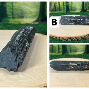 May include: Raw black tourmaline crystals on a wooden slice. The crystals are dark and opaque with textured surfaces. The background shows a blurred forest scene. The crystals are likely measured in centimetres.