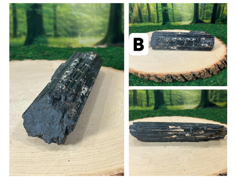 May include: Raw black tourmaline crystals on a wooden slice. The crystals are dark and opaque with textured surfaces. The background shows a blurred forest scene. The crystals are likely measured in centimetres.