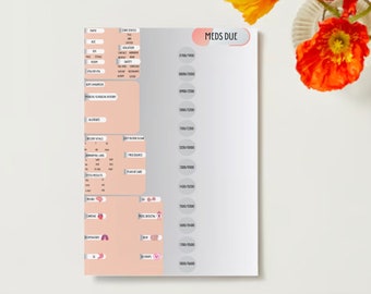 Nurse Report Sheet, SBAR, Brain Sheet