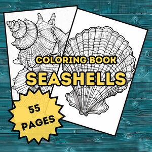 Seashells Coloring Book - 55 Intricate Designs, Adult Coloring Pages, Digital Printable PDF, marine, ocean coloring, simple clean lines
