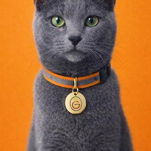 Collar para gatos del Galatasaray: collar para mascotas del equipo de fútbol con cascabel