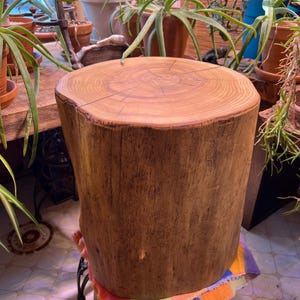 May include: A natural wood stump stool with a round top and a cylindrical body. The stool is made from a section of a tree trunk, showcasing the wood's grain and texture. The stool is approximately 18 inches tall.