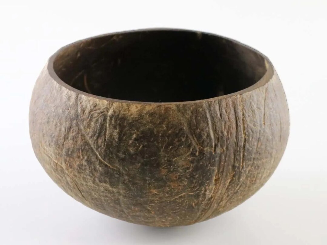 Handmade Natural Jumbo Coconut Bowl Ecofriendly, Vegan, and Unique Etsy