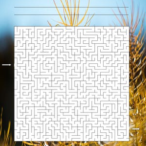 Maze printable game, size is 8.5 x 11 paper the Maze being in the center of the page. Can be printed in color or B&W.