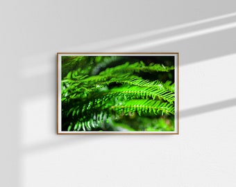 Fern 4, Forest, Digital Download, Photograph, Color, Wall Decor, Poster, Oregon
