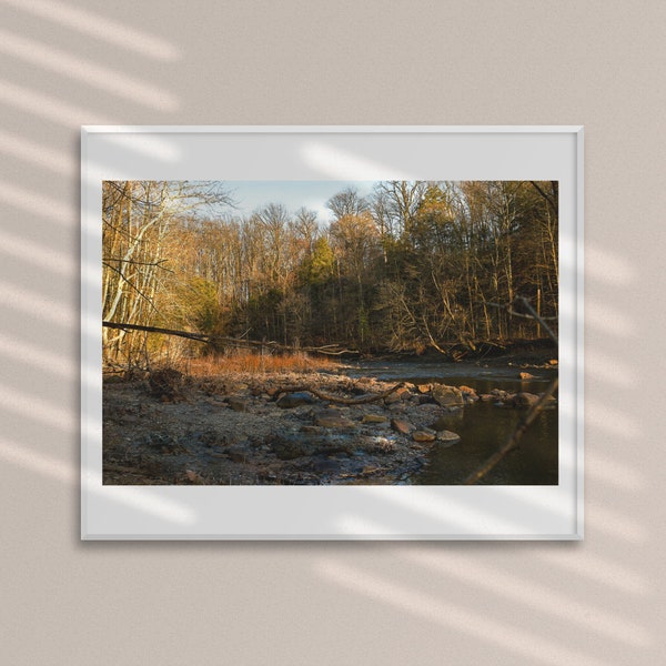 winding river digital download, sunlit woods print, trees print, printable wall art, original photograph