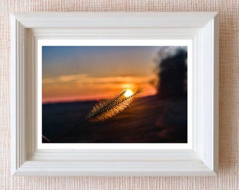 sunset wheat digital download, wheat field digital download, orange sunset photo, printable photo sunset, original photograph
