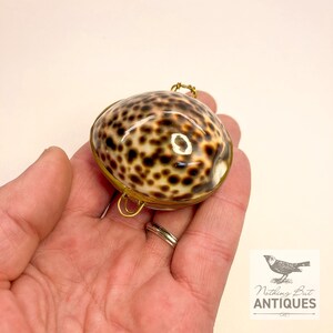 Vintage Sea Shell Coin Purses/Pill Boxes, Victorian Style With Brass Frames, Set of 3, ca. 1960s - 70s. Crafted from three different sea shells in three DIFFERENT SIZES, these LOVELY COIN PURSES or PILL BOXES would make lovely DECORATOR ITEMS in any bedroom or bathroom, especially for a BEACHFRONT PROPERTY. The large shell is 3-1/4 in. from front to back; the medium shell 2-1/4 in., and the small shell is 1-3/4 in. front to back. Price: $75 with FREE SHIPPING.