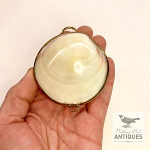 Vintage Sea Shell Coin Purses/Pill Boxes, Victorian Style With Brass Frames, Set of 3, ca. 1960s - 70s. Crafted from three different sea shells in three DIFFERENT SIZES, these LOVELY COIN PURSES or PILL BOXES would make lovely DECORATOR ITEMS in any bedroom or bathroom, especially for a BEACHFRONT PROPERTY. The large shell is 3-1/4 in. from front to back; the medium shell 2-1/4 in., and the small shell is 1-3/4 in. front to back. Price: $75 with FREE SHIPPING.