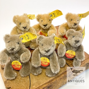 Vintage steiff - Etsy 日本