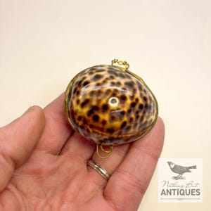 Vintage Sea Shell Coin Purses/Pill Boxes, Victorian Style With Brass Frames, Set of 3, ca. 1960s - 70s. Crafted from three different sea shells in three DIFFERENT SIZES, these LOVELY COIN PURSES or PILL BOXES would make lovely DECORATOR ITEMS in any bedroom or bathroom, especially for a BEACHFRONT PROPERTY. The large shell is 3-1/4 in. from front to back; the medium shell 2-1/4 in., and the small shell is 1-3/4 in. front to back. Price: $75 with FREE SHIPPING.